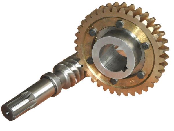 Worm gear shaft